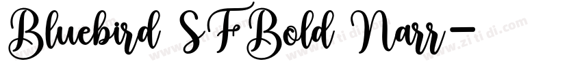 Bluebird SFBold Narr字体转换